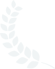 6163.net163.amƼ-AI_a__ŵ